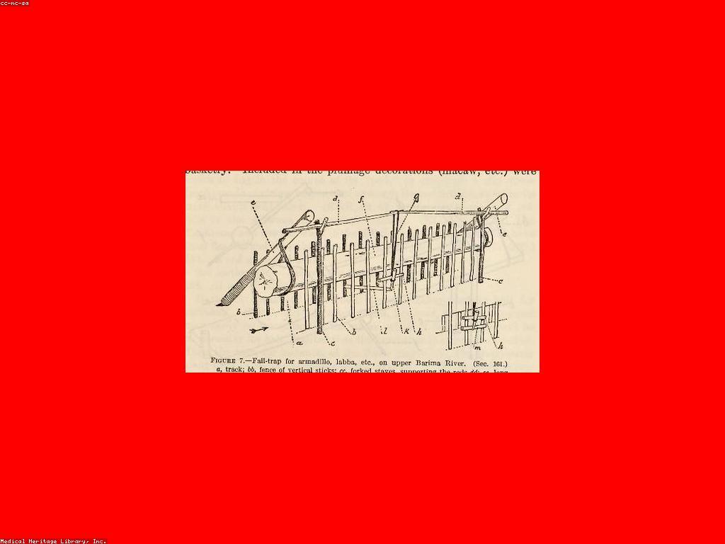 αααααααΆααααααααααΆαααααΈαα
ααΎααααααα